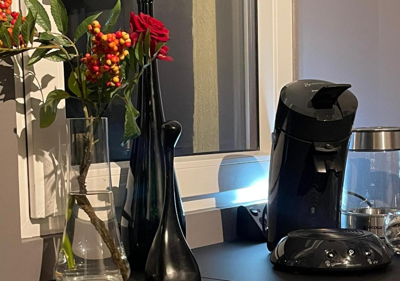 Stay At Smilla - Boutique Apartments Mit Kueche - Parken - Klima - Netflix - Waschmaschine Wiesbaden Luaran gambar